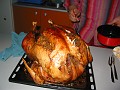 20110101_Div 028